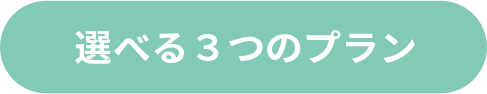 3つの選べるプラン